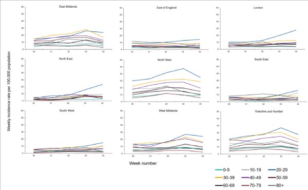 Daily numbers, graphs, analysis thread 16