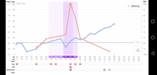 Calling all BBT chart readers! Is this a good sign?