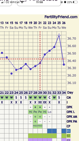 Ovulation.. lets go again !