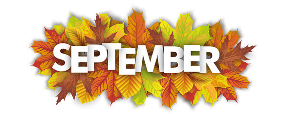 LOSE IT! September 2020