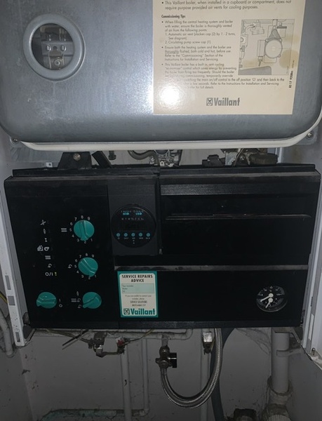 Combo boiler/washing machine hot water question