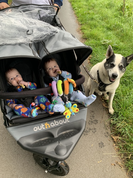 TTC First Baby Catch-up With Our Babies Continued!!