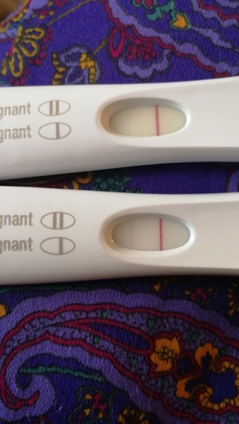 Bfp at 10DPO?