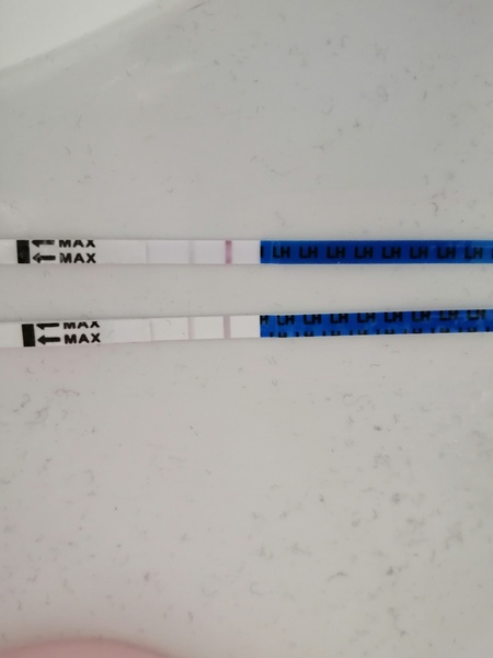 Very confused about ovulation tests.
