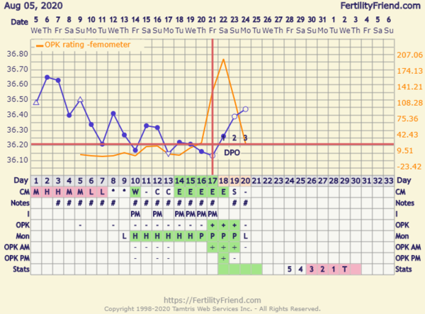 Starting TTC again after missed miscarriage part two