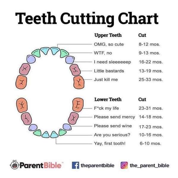 Baby teeth