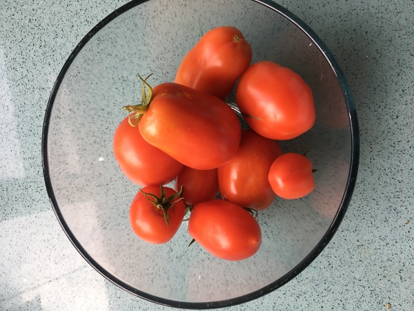 Allotment/Veg Patch Thread 16  Weather weirdness prevails !