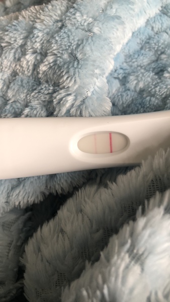 Line eyes - are these evap lines?