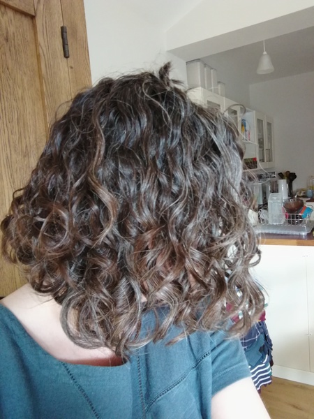 ➿ Fantastic Haircare: Making Sense and Science of the Curly Girl Method