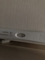 TTC after a chemical pregnancy / early miscarriage