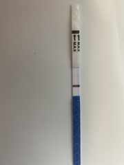 Just found out I’m pregnant! When to work out rough due date?