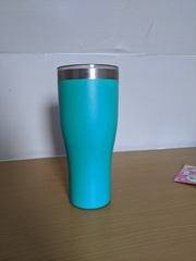 Metal water bottles - worth it?