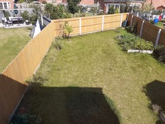 Trees for small gardens