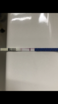 TTC after a chemical pregnancy / early miscarriage