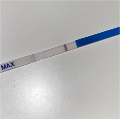 BBT still above coverline after bleed. Help?