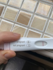 Do you think this is a faulty test?