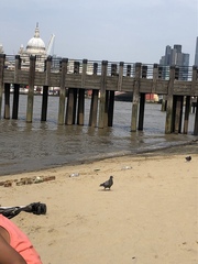 Swimming in the Thames