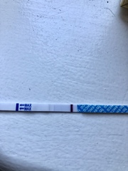 Line eyes - are these evap lines?