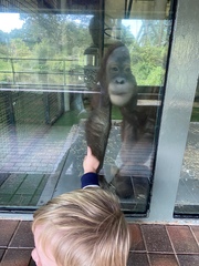 August Always Adds Pocket Pressure, Frugal Friends Thrive Thriftily