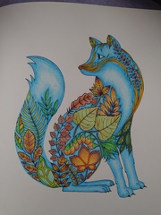 Adult colouring in