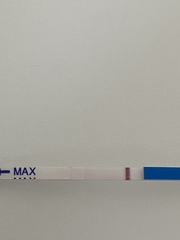 NEWBIE 🙋🏼‍♀️ TTC first baby - anyone else new to the journey?