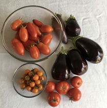 Allotment/Veg Patch Thread 16  Weather weirdness prevails !