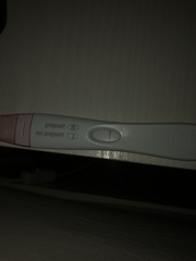 TTC after a chemical pregnancy / early miscarriage