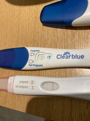 TTC - Aug testers