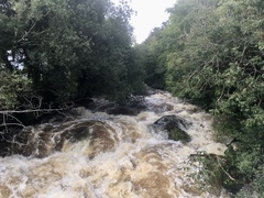 Any Witches Here? Part 12.