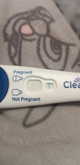 BFP or evap lines? I'm so confused!!