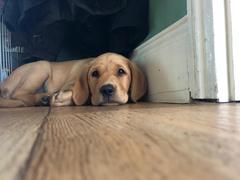 Dec19/Jan20 IVF Graduates - Thread 2