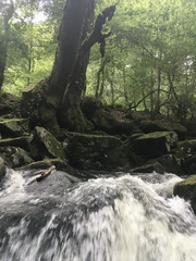 Any Witches Here? Part 11