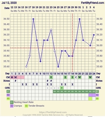 Tracking your cycle and possible BFP using RHR - part 2