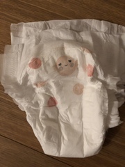 Find out what Mumsnet testers thought of Morrisons Nutmeg nappies and pants