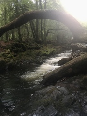 Any Witches Here? Part 11