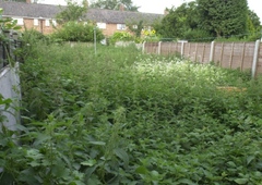 Our garden is not the cause for the lack of sale