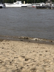Swimming in the Thames