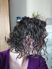 ➿ Fantastic Haircare: Making Sense and Science of the Curly Girl Method