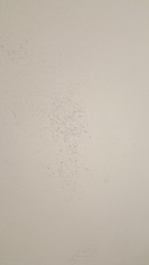 Issues with painting