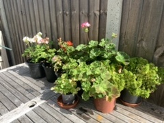 August already?! Time keeps flying like the Fledglings!