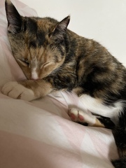 I think my baby is poorly :(