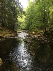 Any Witches Here? Part 11