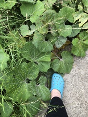Can anyone identify this please?!