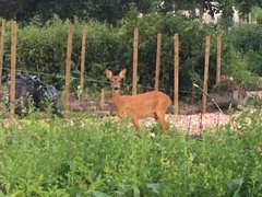 Les Parisiennes de Mamansnet: L'enfer c'est les Autres