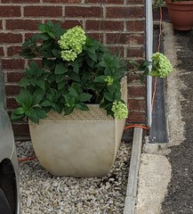 What's wrong with our house 13 days no viewings