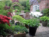 Rubbish garden