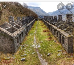 Snowdonia next week with tweens