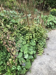 Can anyone identify this please?!