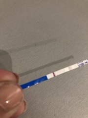 Starting TTC again after missed miscarriage part two