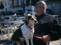 show me your dogs!